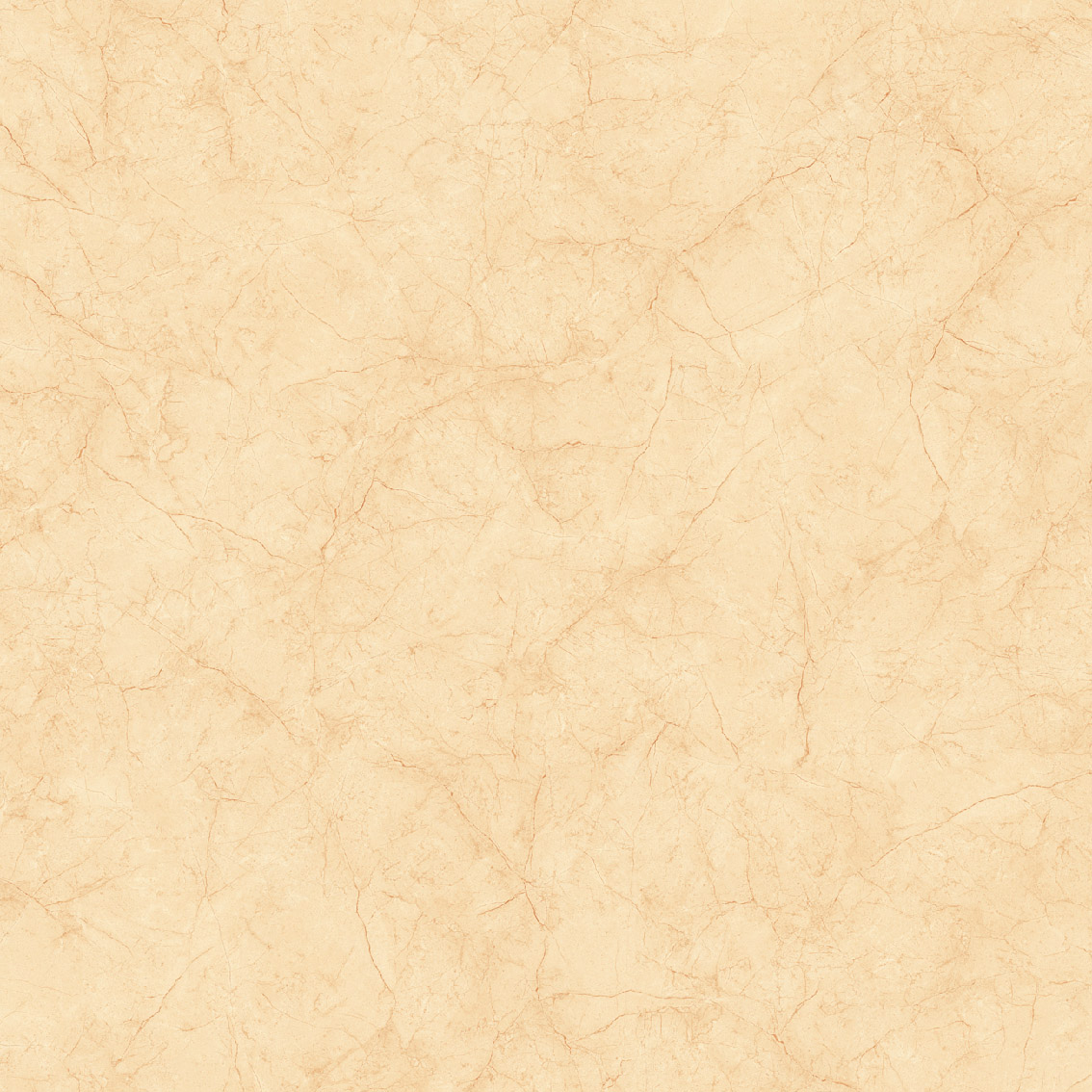 Gach-Lot-Nen,-Op-Tuong-Vitto-Ga101778,-Viet-Nam